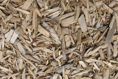 biomass boilers Big Sand